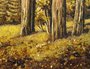 Landscape “Road in a pine forest”